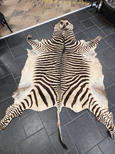 Echte zebrahaut antik - echte,