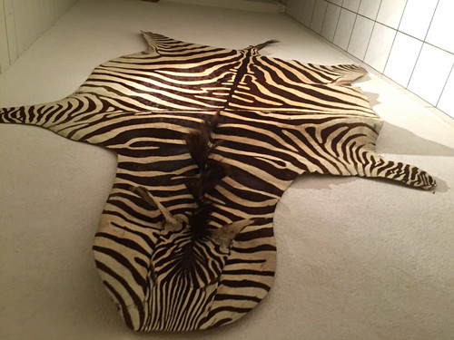 Zebrafell echt 220 - zebrafell, echt,