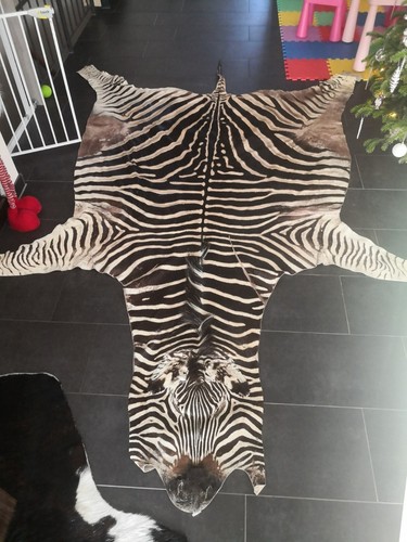 Großes zebrafell - großes, xl