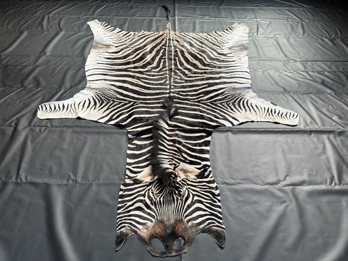 Burchell steppenzebra - burchell,