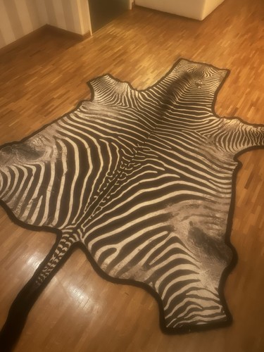 Zebrafell groß top - groß, zustand