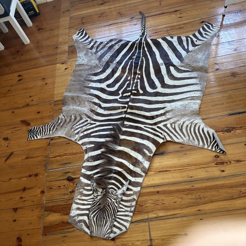 Zebra fell echt - zebra, gekauft
