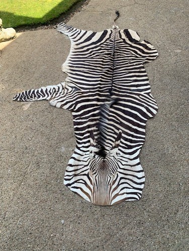 Echtes zebrafell - echtes,