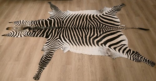 Bergzebra hartmann zebrafell - hartmann,